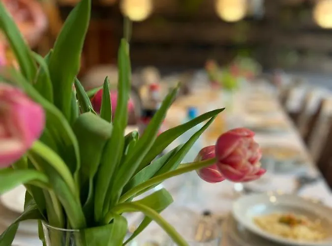 Apartahotel Plonia Resort Płonia